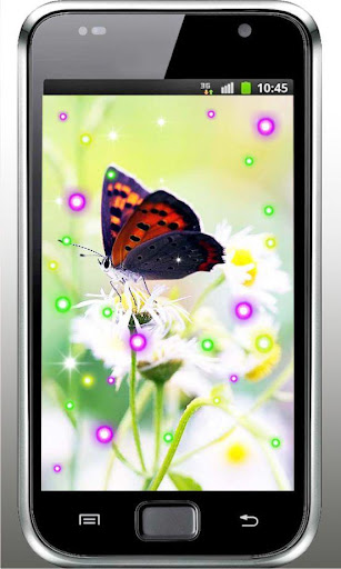 Butterfly Best live wallpaper