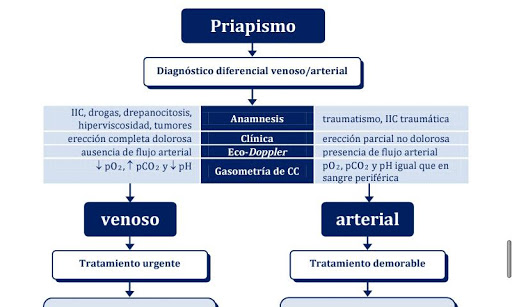 【免費醫療App】Urología Práctica-APP點子