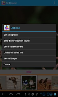 Bird Sound Screenshots 4