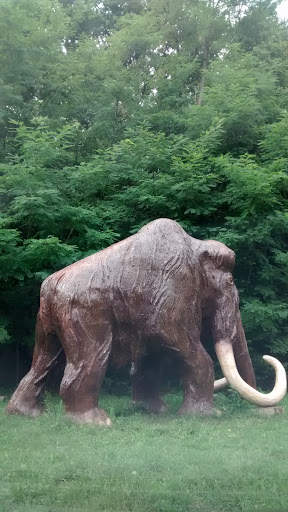 Großes altes Mammut