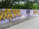 Gambit Graffiti at Skate Park
