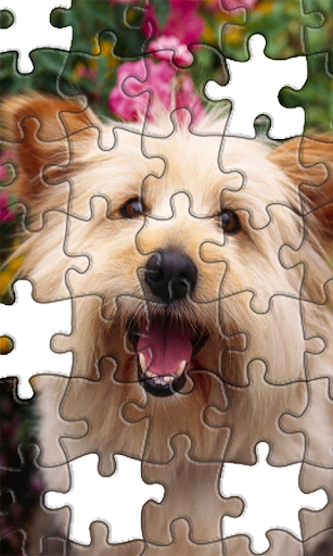 Jigsaw Puzzles Puppies