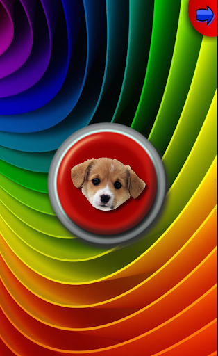 Press the Dog Button Fun Game