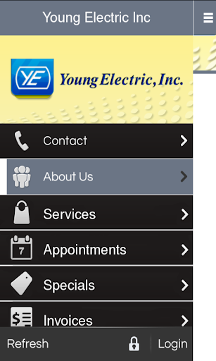 Young Electric Inc