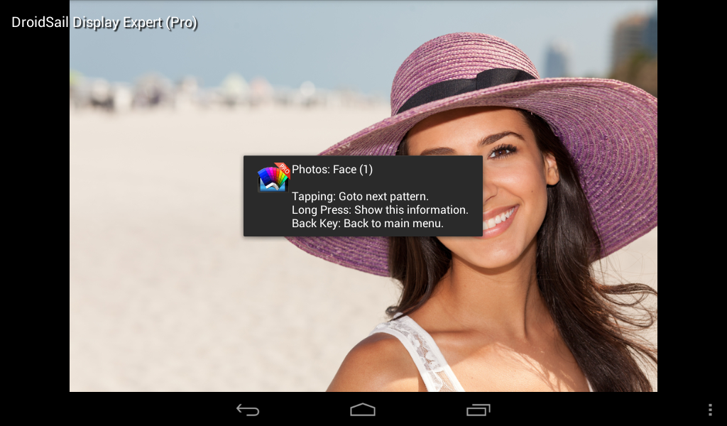 DS Display Expert (Pro) - screenshot