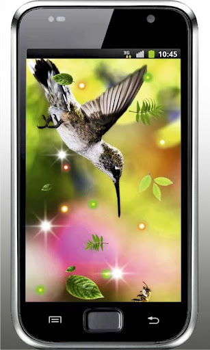 Colibri Sunset live wallpaper