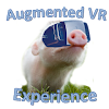 Augmented VR Experience Demo