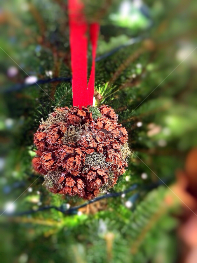 Spread a little cheer by Bridget Wegrzyn - Public Holidays Christmas