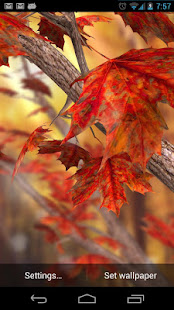 Autumn Tree Free Wallpaper(圖1)-速報App