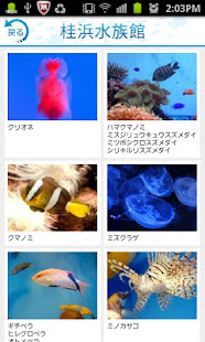 i 水族館　桂浜・足摺(圖2)-速報App