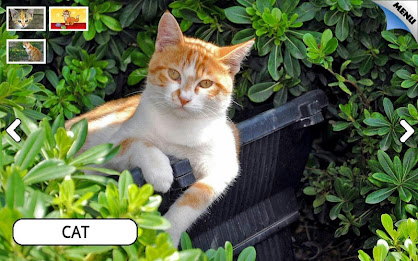 Zoo and Farm Animals for Kids poster 15