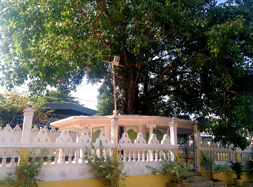 Nawala Road Temple Bodhimaluwa 
