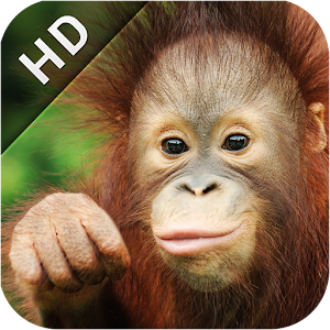 Go Sabah HD 1.0.7