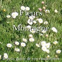 Fleurs De Montagne logo