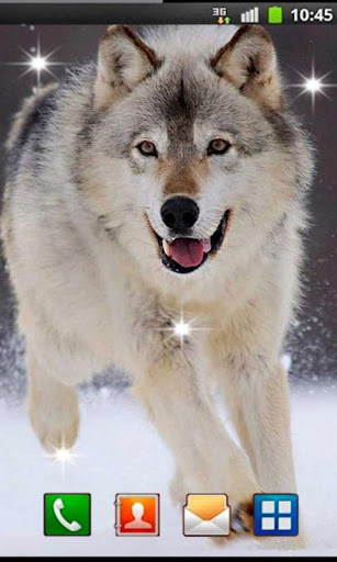 Wolf Games HD live wallpaper