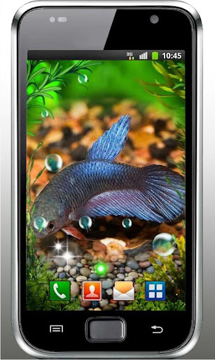 【免費個人化App】Aquarium Life live wallpaper-APP點子