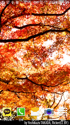 Autumn Leaves Livewallpaper