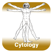 Anatomy - Cytology