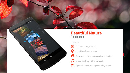 Beautiful Nature Theme