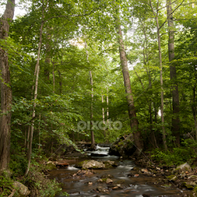 close to home to by Matthew Lindsey - Landscapes Waterscapes