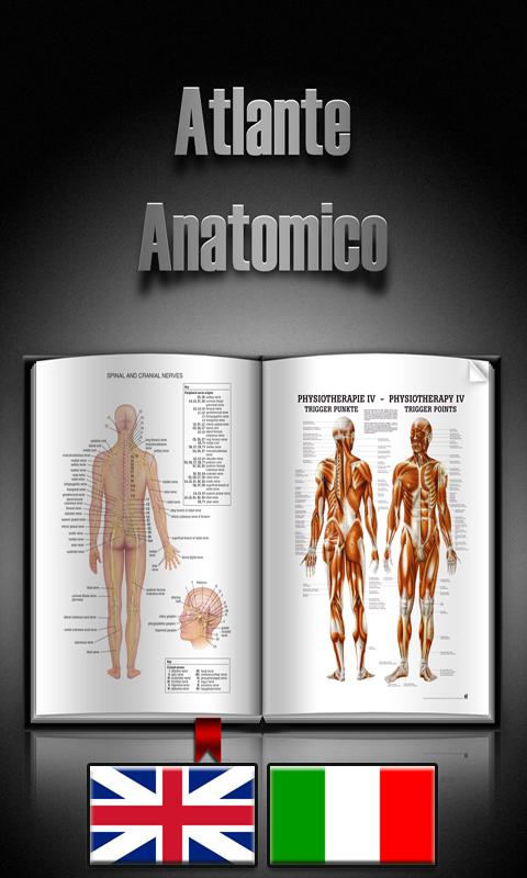 Atlas of Anatomy (Human) Screen 1