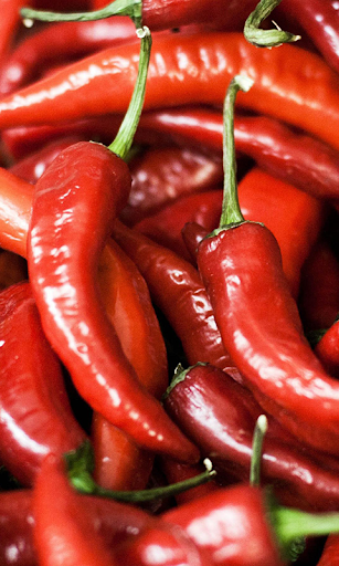 Hot Pepper with rain drops WP