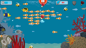 Grumpy Fish