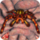 iSpider Monster Pals