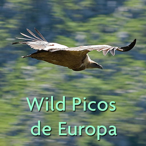 Wild Picos de Europa LOGO-APP點子