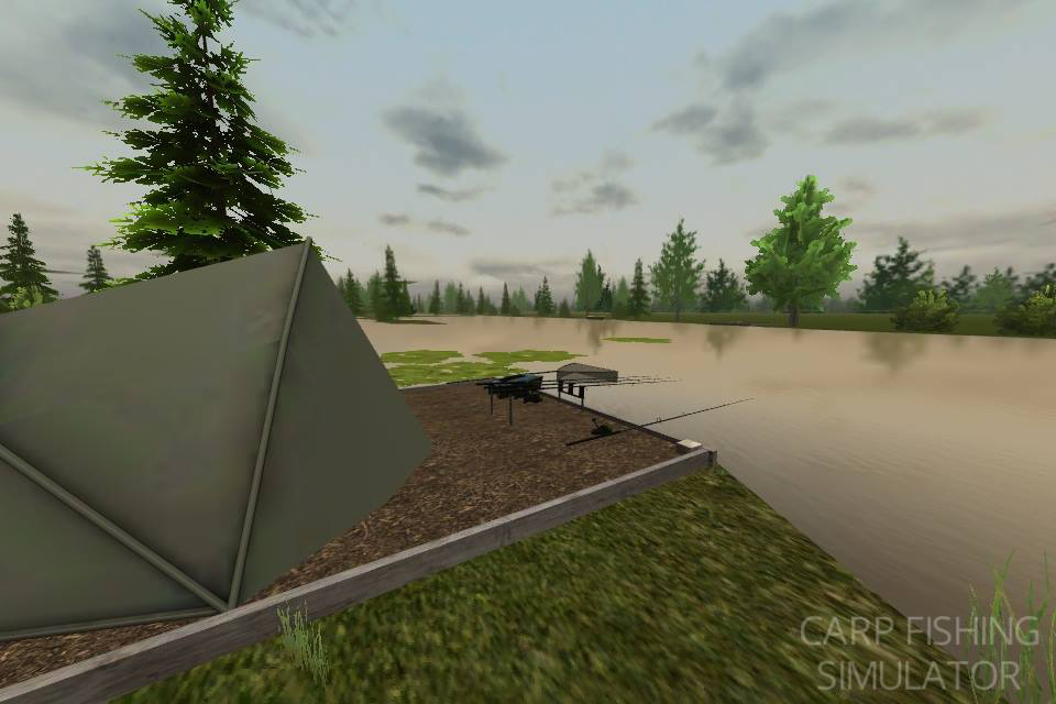 Скачать carp fishing simulator на андроид бесплатно с встроенным кэшем