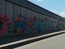 Oso Grafitti