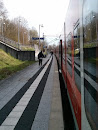 Binau Bahnhof
