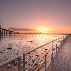 To the light... by Rui Catarino - Landscapes Sunsets & Sunrises