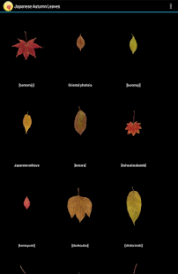 Japanese autumn leaves(圖4)-速報App