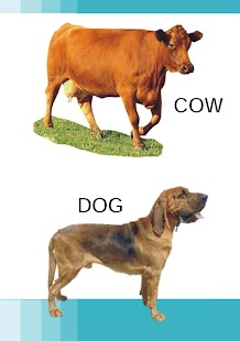 How to get Domestic Animals Pre School 1.0 mod apk for bluestacks