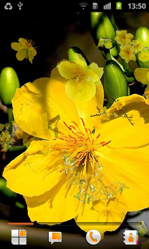 Mai Flower Live Wallpaper - Android Apps on Google Play