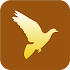 World Religion & Mysticism2.9