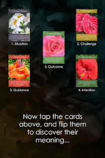 Floramations Oracle Cards(圖5)-速報App