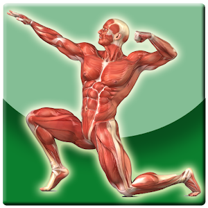 Anatomi Tubuh Manusia.apk 1.1