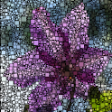 Growing Mosaic Lite icon
