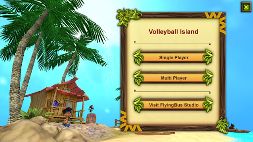 Volleyball Island