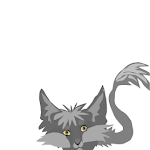 catobok