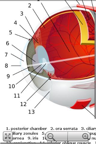 Human Anatomy Pro Screen 2