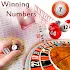 Winning Numbers (Free)1.3