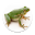katak ID Download on Windows
