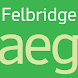 Felbridge FlipFont icon