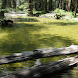 River Logs Live Wallpaper