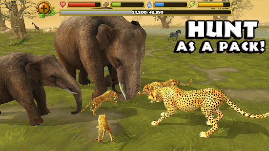 Cheetah Simulator(圖7)-速報App