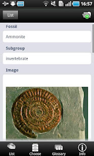 Fossils(圖2)-速報App