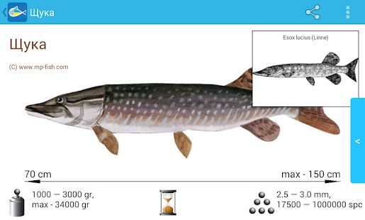 Риби України Screenshots 8